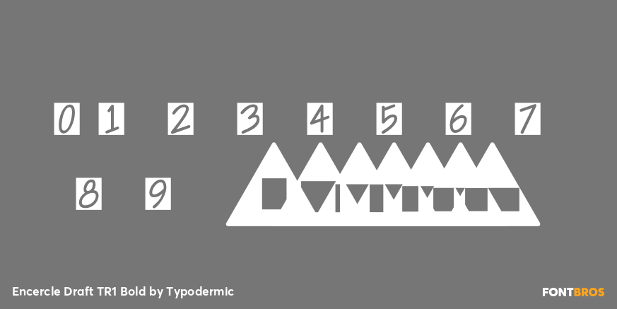 Encercle Draft TR1 Bold Font Poster #1