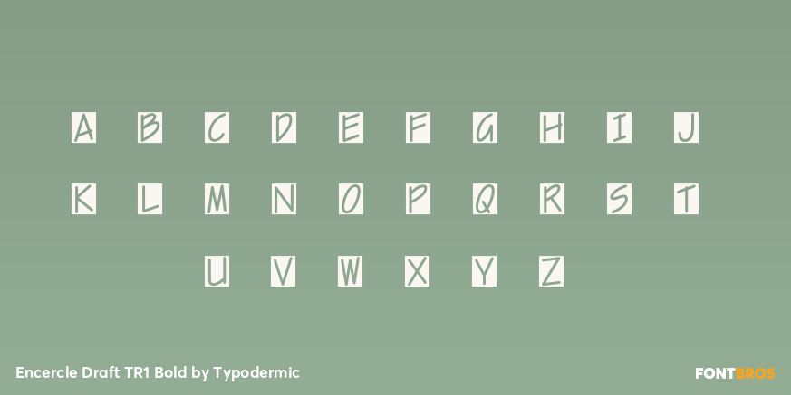 Encercle Draft TR1 Bold Font Poster #1