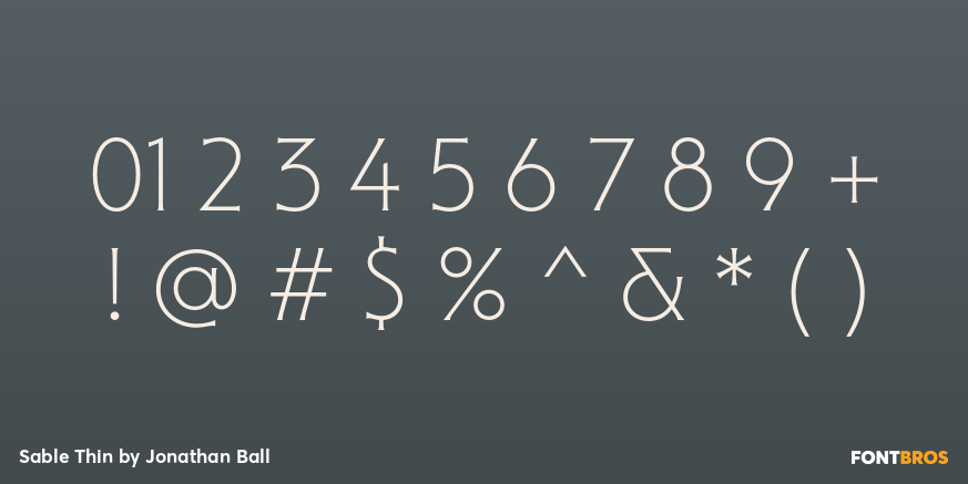 Sable Thin Font Poster #4