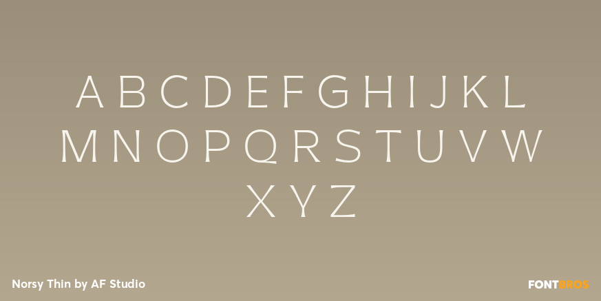 Norsy Thin Font Poster #2