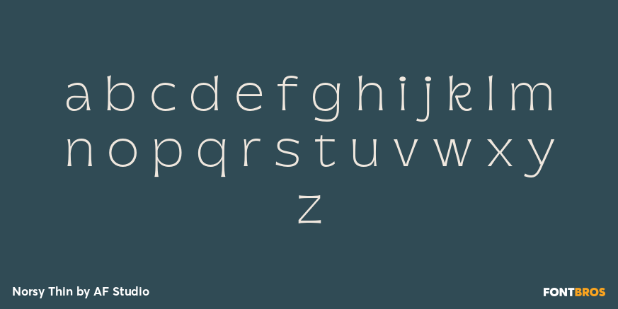 Norsy Thin Font Poster #3