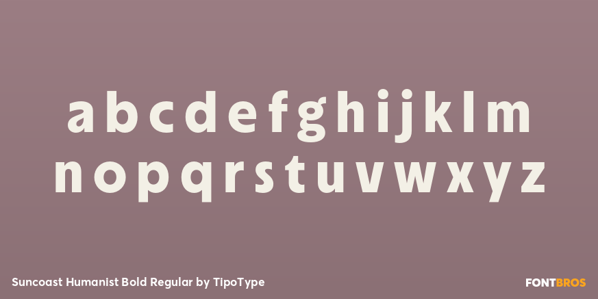 Suncoast Humanist Bold Regular Font Poster #1
