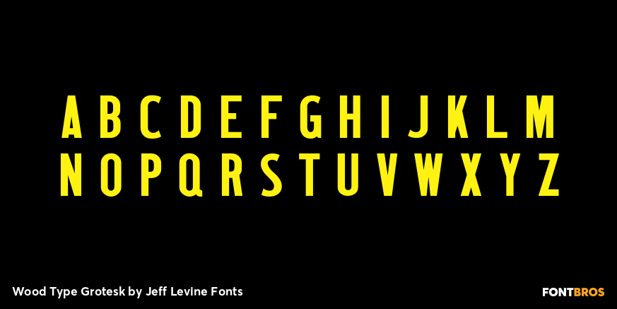 Wood Type Grotesk Font Poster #3