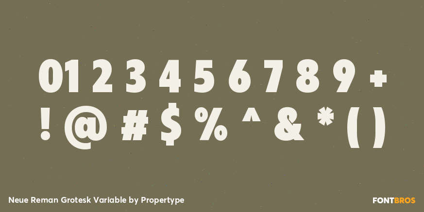 Neue Reman Grotesk Variable Font Poster #1