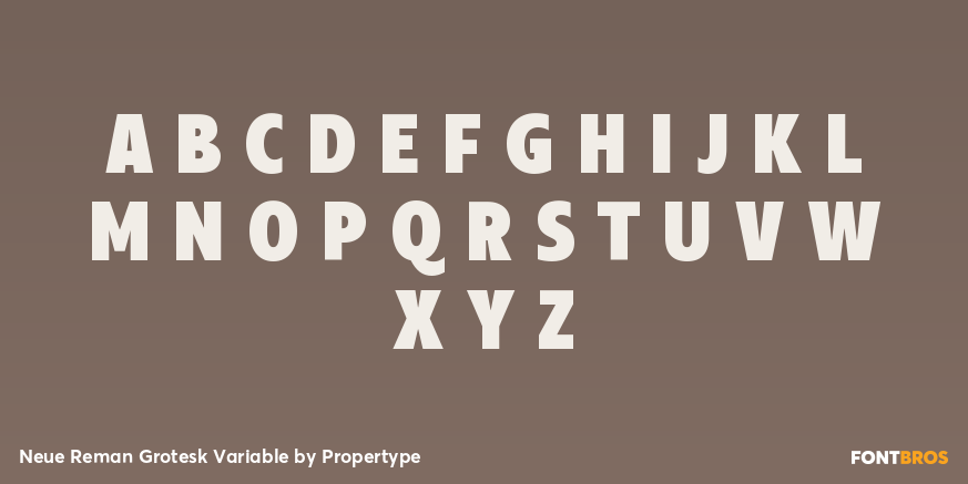 Neue Reman Grotesk Variable Font Poster #2
