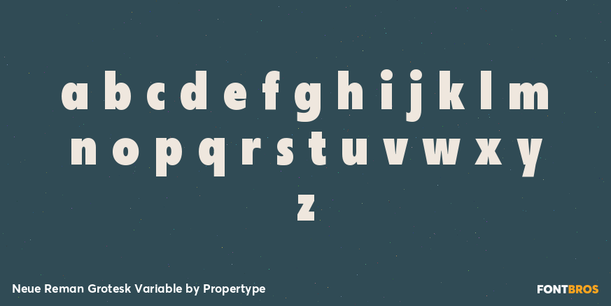 Neue Reman Grotesk Variable Font Poster #3