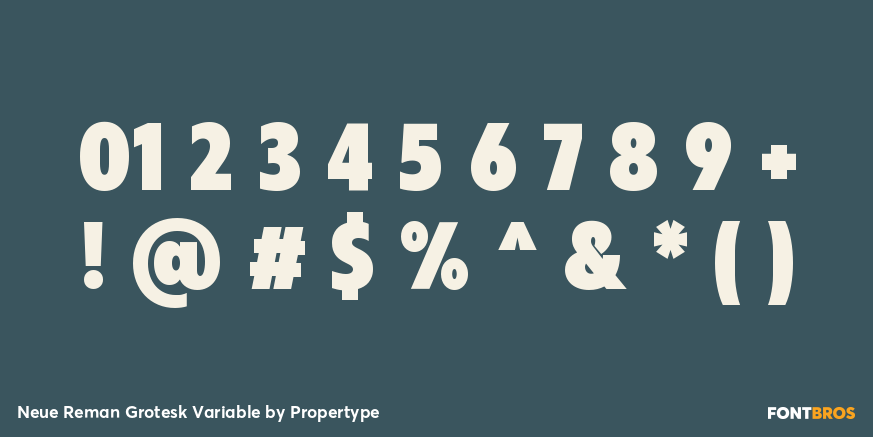 Neue Reman Grotesk Variable Font Poster #4
