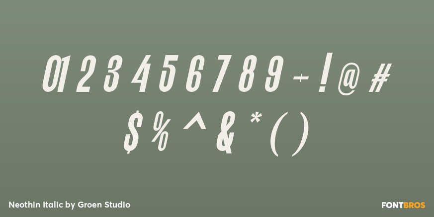 Neothin Italic Font Poster #4
