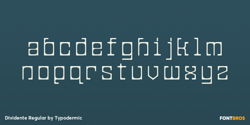 Dividente Regular Font Poster #3
