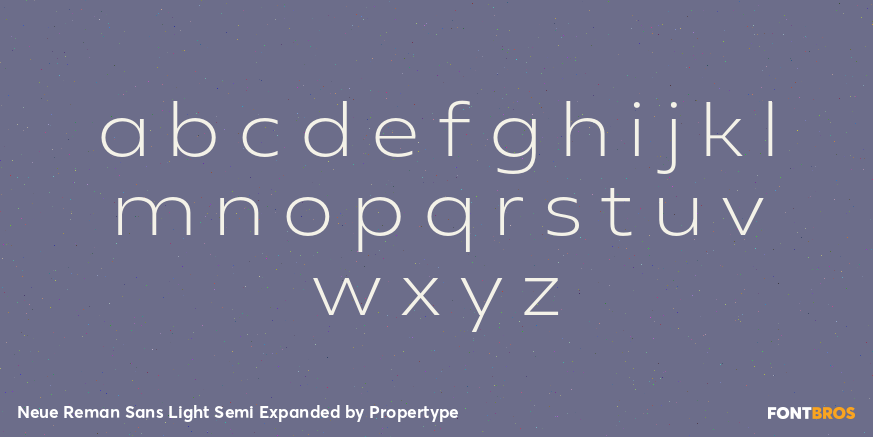 Neue Reman Sans Light Semi Expanded Font Poster #3