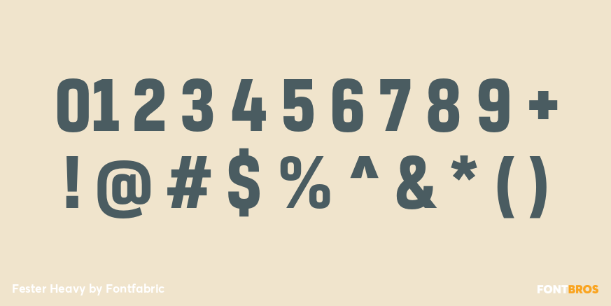 Fester Heavy Font Poster #4