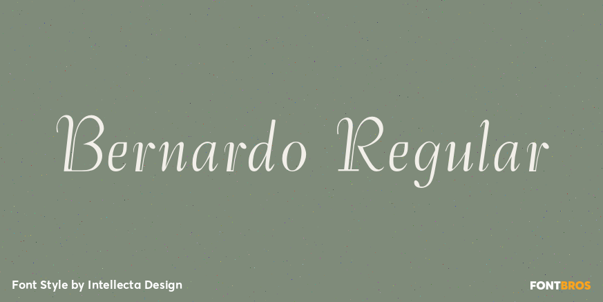 Bernardo Regular Poster