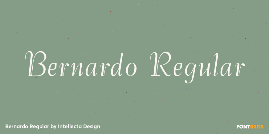 Bernardo Regular Poster
