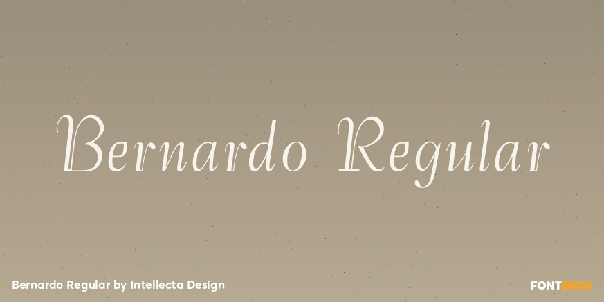 Bernardo Regular Poster