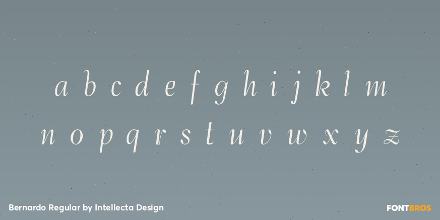 Bernardo Regular Font Poster #3