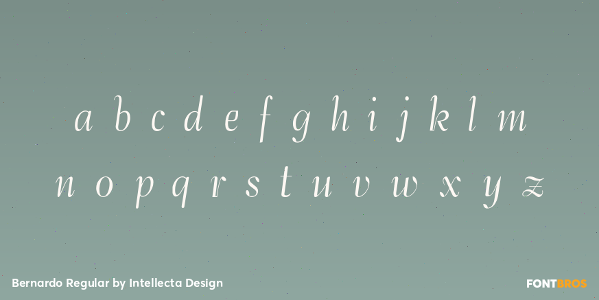 Bernardo Regular Font Poster #1