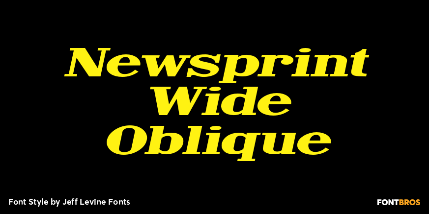 Newsprint Wide Oblique Poster