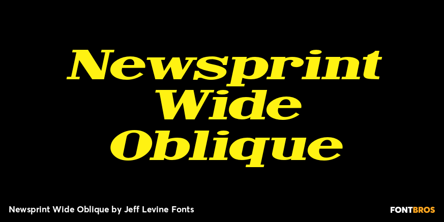 Newsprint Wide Oblique Poster