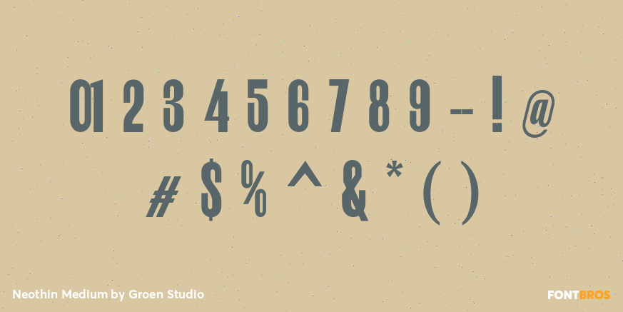 Neothin Medium Font Poster #4