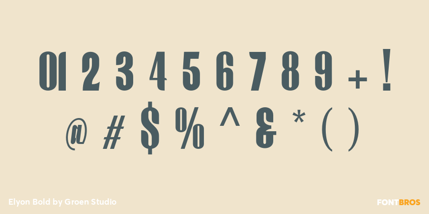 Elyon Bold Font Poster #4