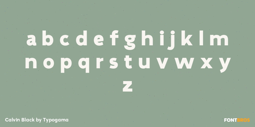 Calvin Black Font Poster #3