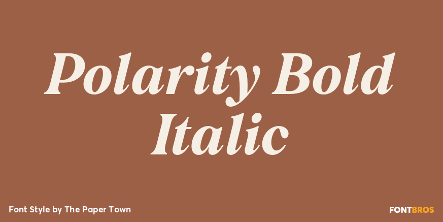 Polarity Bold Italic Poster