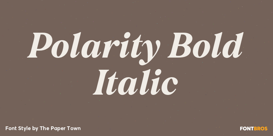 Polarity Bold Italic Poster