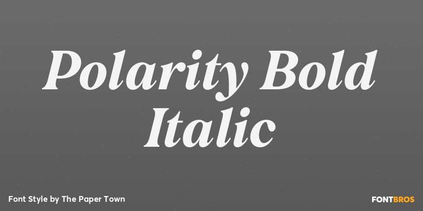 Polarity Bold Italic Poster