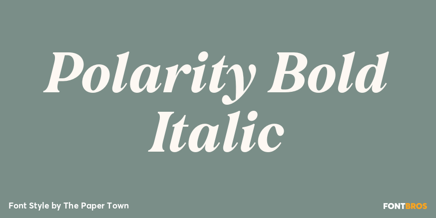 Polarity Bold Italic Poster