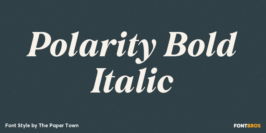 Polarity Bold Italic Poster