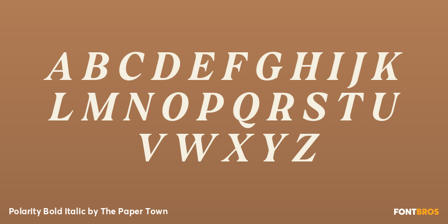 Polarity Bold Italic Font Poster #2