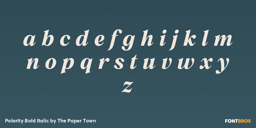 Polarity Bold Italic Font Poster #3