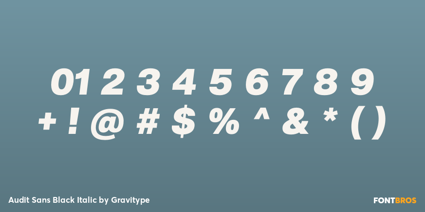 Audit Sans Black Italic Font Poster #4