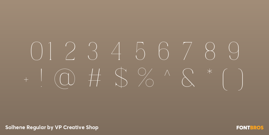 Solhene Regular Font Poster #4