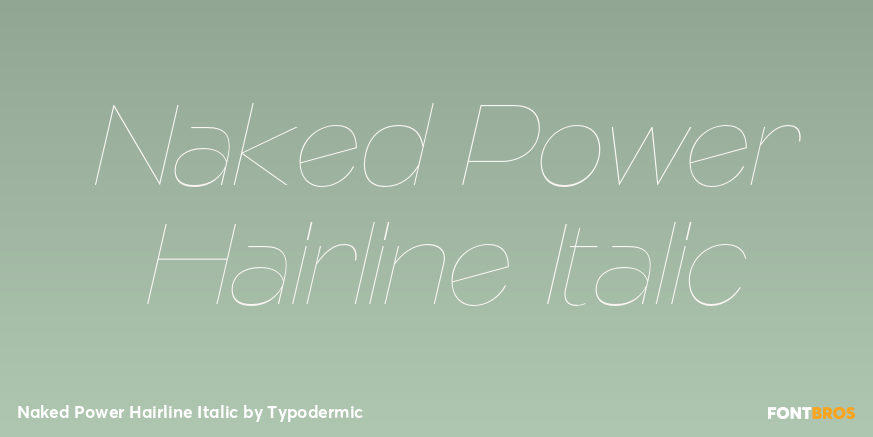 Naked Power Hairline Italic Font Poster #1