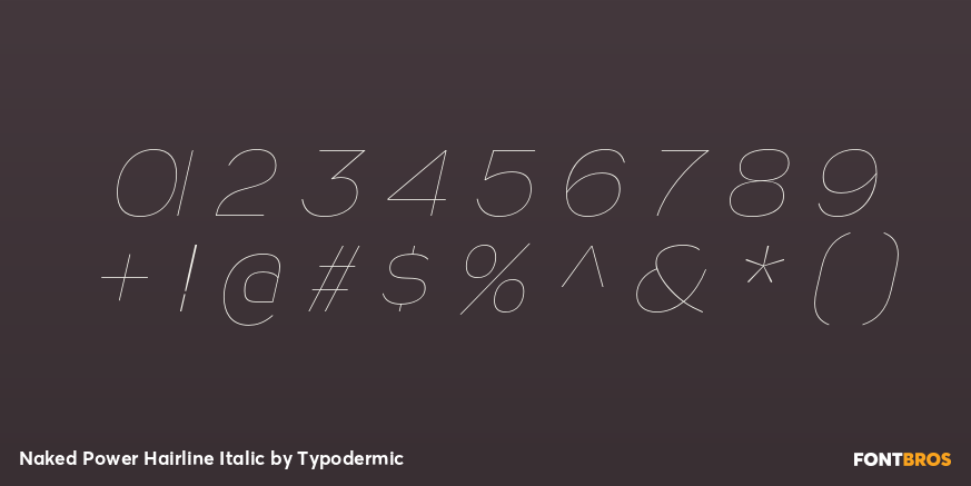 Naked Power Hairline Italic Font Poster #4