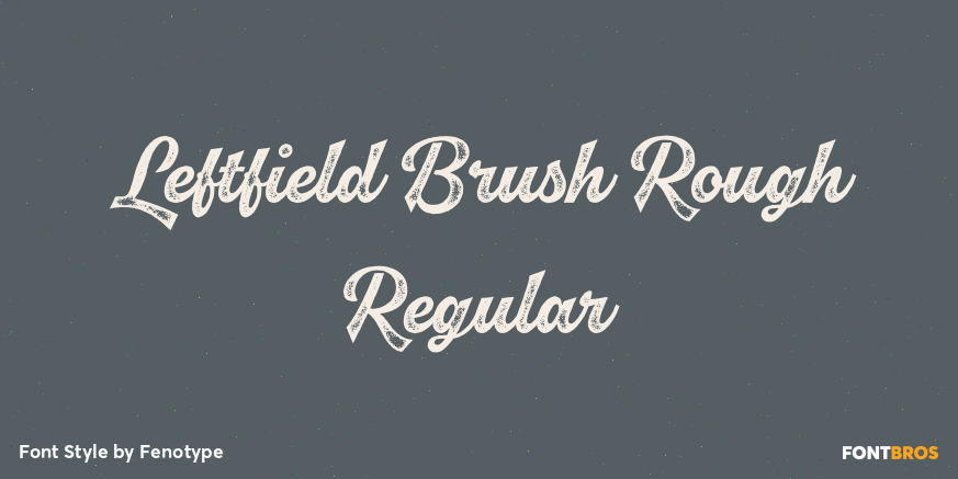 Leftfield Brush Rough Regular Poster