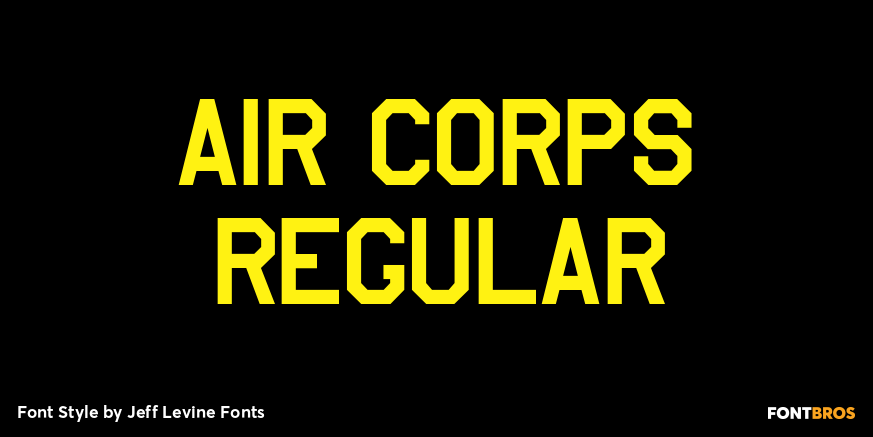 Air Corps Regular Poster