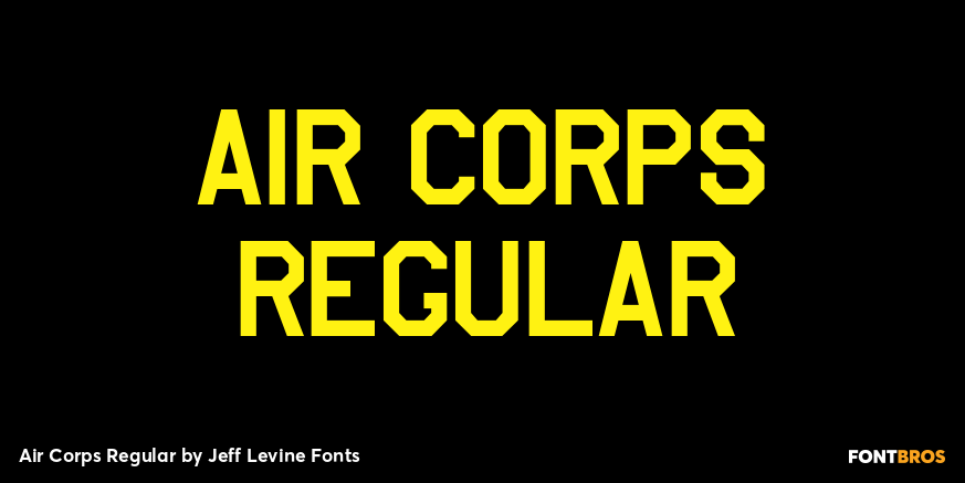 Air Corps Regular Poster