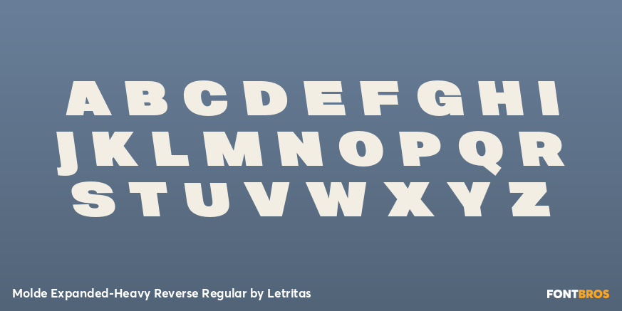 Molde Expanded-Heavy Reverse Regular Font Poster #2