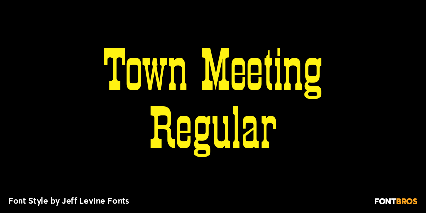 Town Meeting Regular Poster