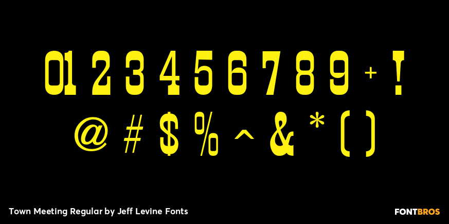 Town Meeting Regular Font Poster #1