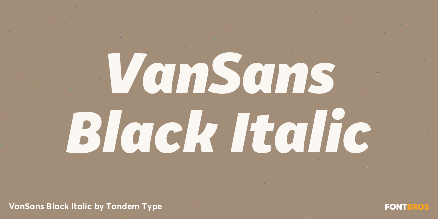 VanSans Black Italic Font Poster
