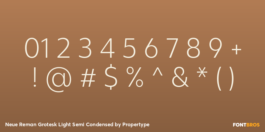 Neue Reman Grotesk Light Semi Condensed Font Poster #4