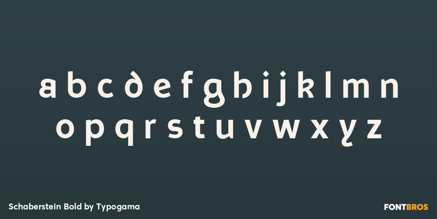 Schaberstein Bold Font Poster #3