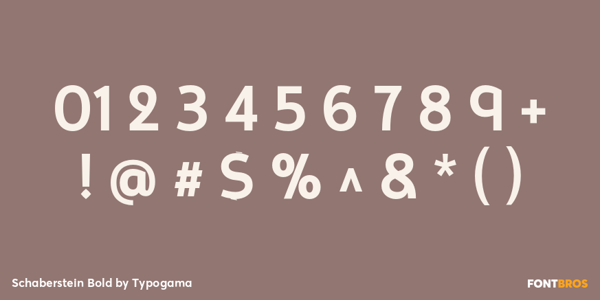 Schaberstein Bold Font Poster #4