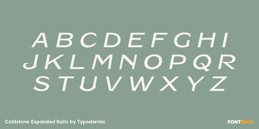 Caldstone Expanded Italic Font Poster #2