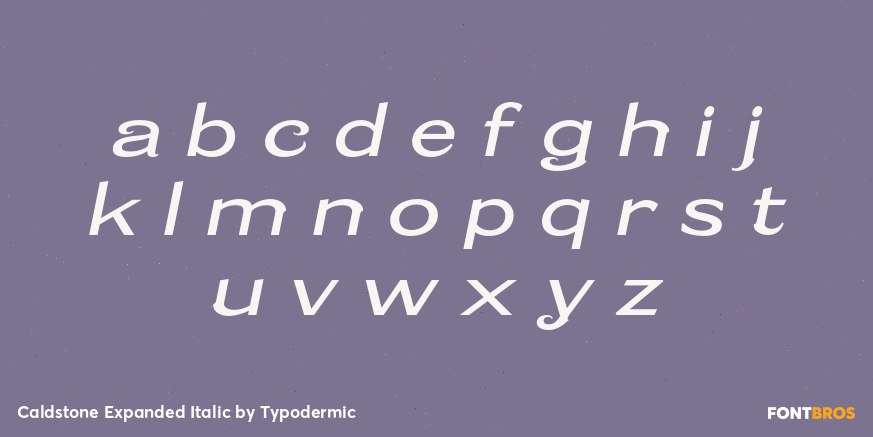 Caldstone Expanded Italic Font Poster #3