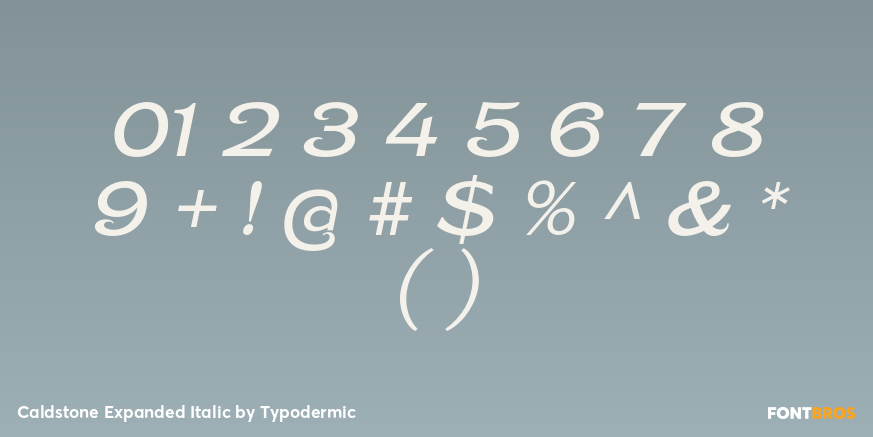 Caldstone Expanded Italic Font Poster #4