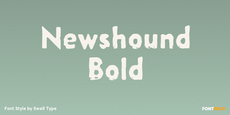 Newshound Bold Poster